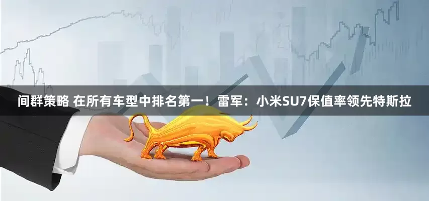 间群策略 在所有车型中排名第一！雷军：小米SU7保值率领先特斯拉