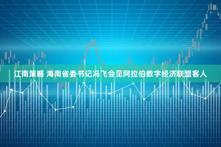 江南策略 海南省委书记冯飞会见阿拉伯数字经济联盟客人