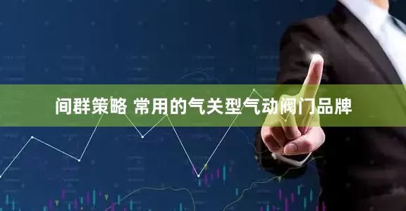 间群策略 常用的气关型气动阀门品牌