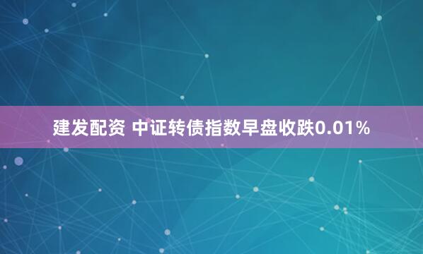 建发配资 中证转债指数早盘收跌0.01%